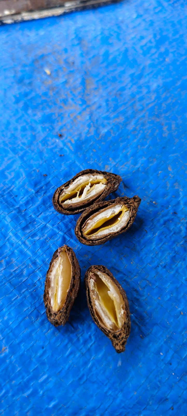 Kernel Cross-Section